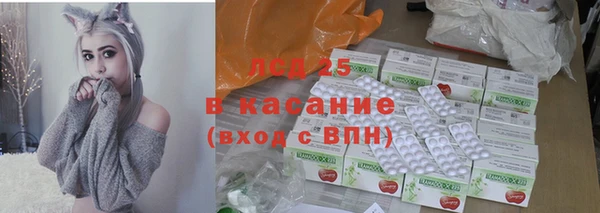 хмурый Анива