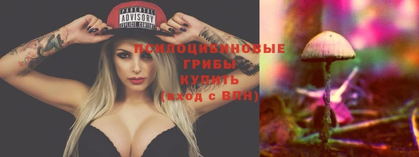 дурь Белая Калитва