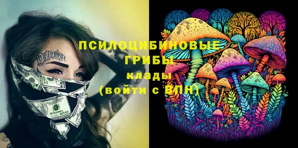 спайс Белая Холуница