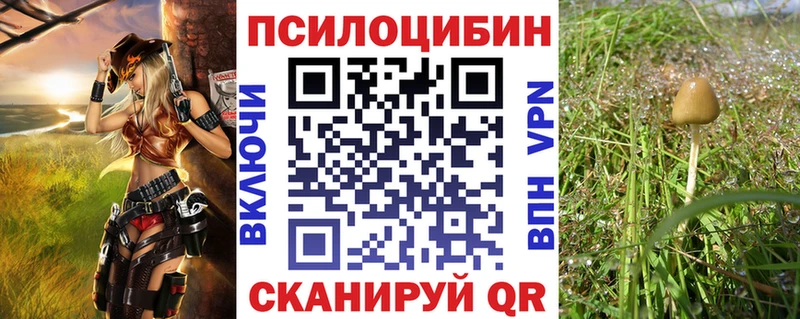 Галлюциногенные грибы ЛСД  закладки  Дубовка 